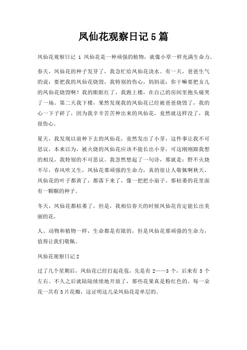 凤仙花观察日记5篇