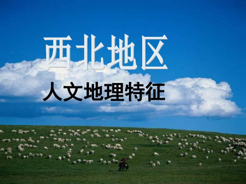 中国西北地区(人文地理特征)