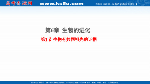 (新教材)2020-2021学年高中人教版生物必修第二册课件：6.1生物有共同祖先的证据