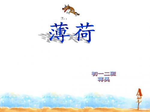薄荷