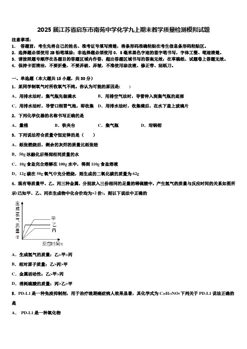 2025届江苏省启东市南苑中学化学九上期末教学质量检测模拟试题含解析