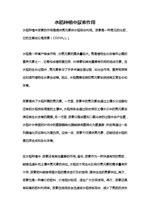 水稻种植中尿素作用