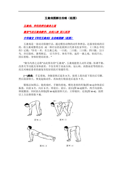 最全五禽戏图解(组图)