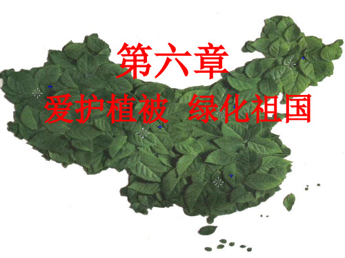 爱护植被绿化祖国上课用课件39页PPT文档