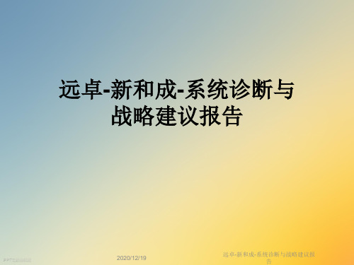 远卓-新和成-系统诊断与战略建议报告