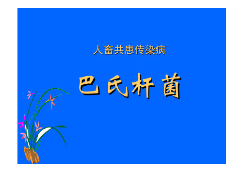 人畜共患-巴氏杆菌