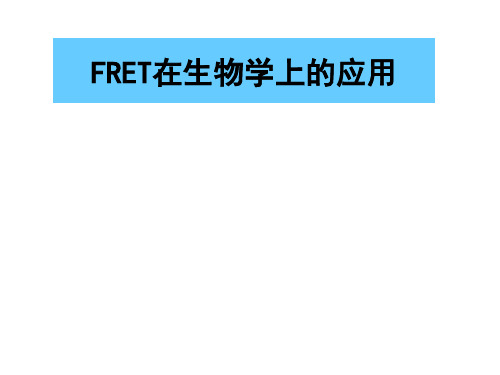 光化学——电子转移页PPT文档