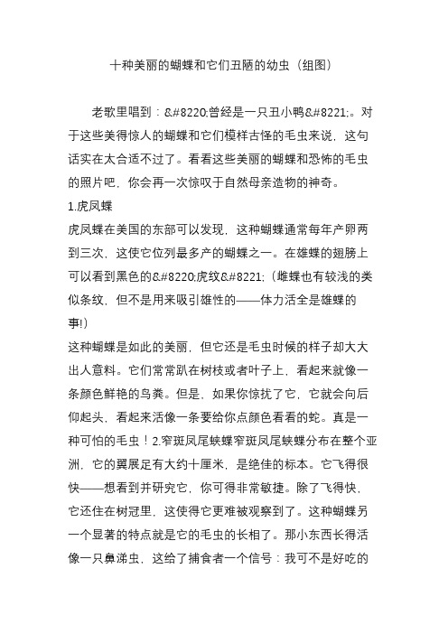 十种美丽的蝴蝶和它们丑陋的幼虫(组图)