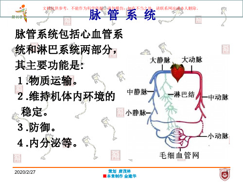 脉管系总论心血管系统培训课件