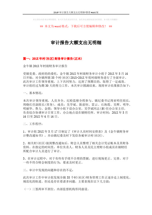 2019-审计报告大额支出无明细-推荐word版 (12页)