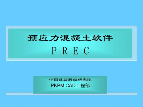 PREC功能介绍