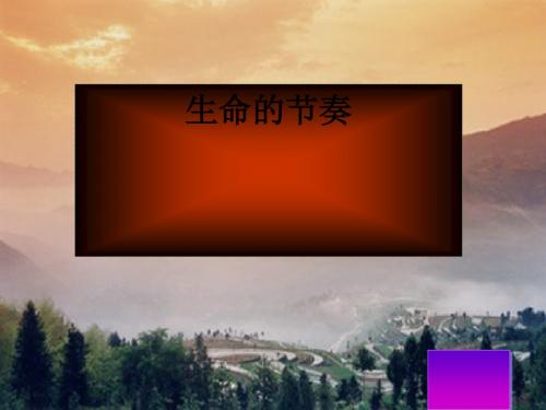时间：生命的节奏ppt优秀课件3
