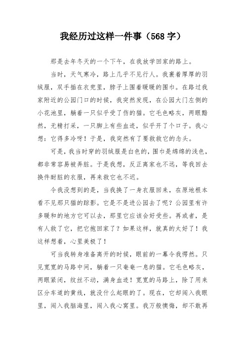 我经历过这样一件事500字初二作文