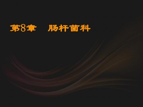 肠杆菌科  ppt课件