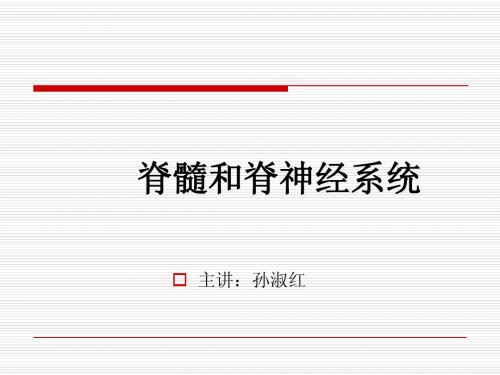 神经系统总论、脊髓