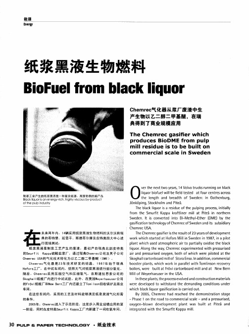 纸浆黑液生物燃料