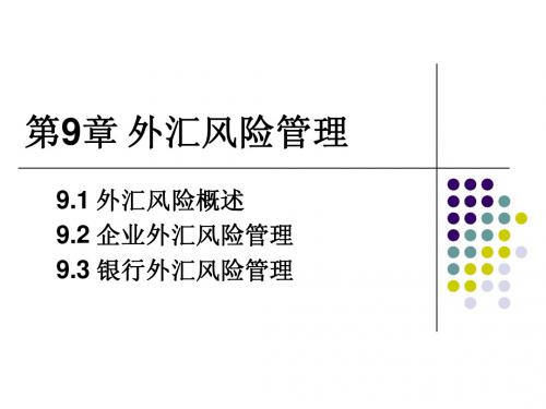 第9章外汇风险管理