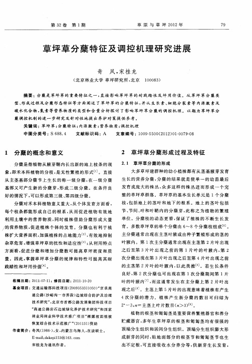 草坪草分蘖特征及调控机理研究进展