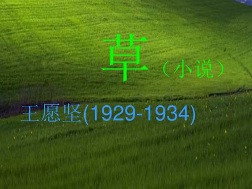 《草》--王愿坚