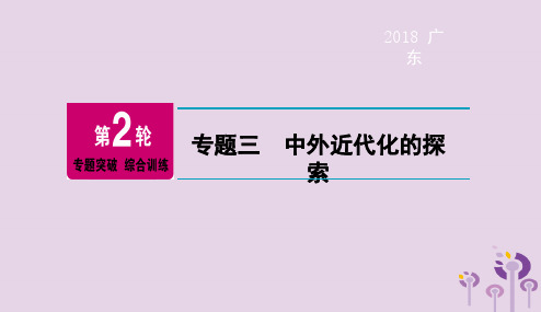 广东省2018年中考历史总复习第2轮专题突破综合训练专题三中外近代化的探索课件20190107166