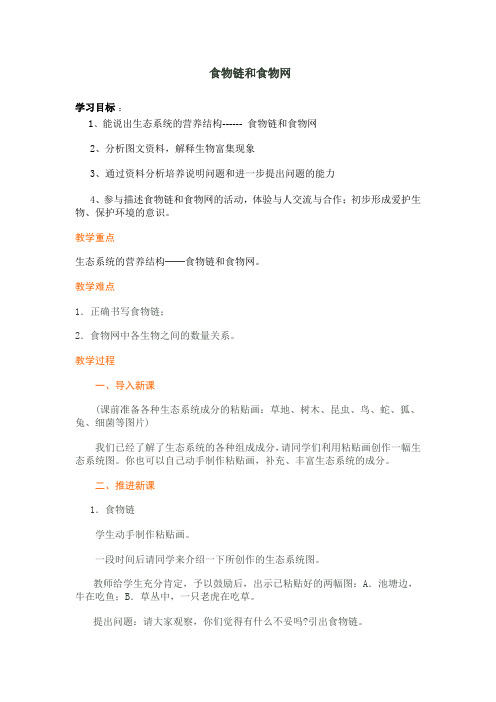 食物链和食物网