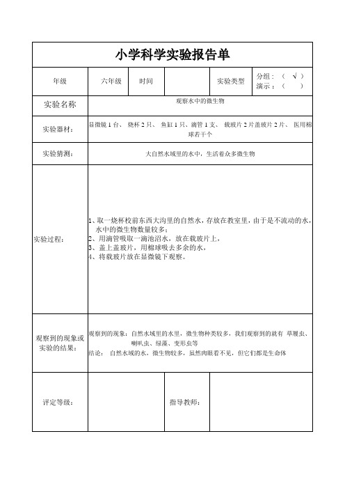 观察水中的微生物