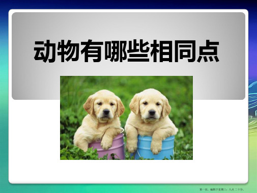 (教科版)三年级科学上第二单元7、动物有哪些相同特点ppt