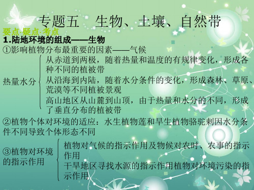生物、土壤和自然带PPT教学课件