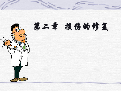 7版病理学课件 损伤与修复