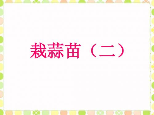 《栽蒜苗(二)》课件1-优质公开课-北师大4下精品
