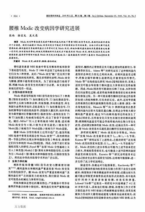 腰椎Modic改变病因学研究进展