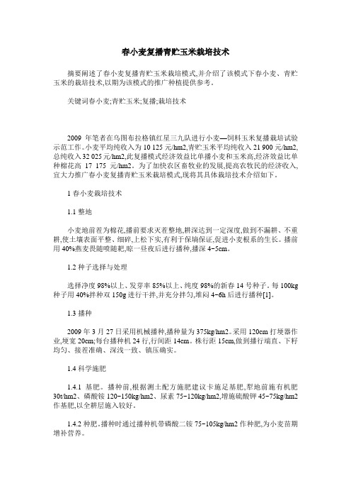春小麦复播青贮玉米栽培技术
