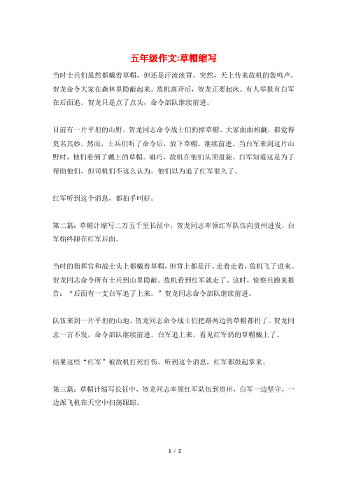 五年级作文-草帽缩写