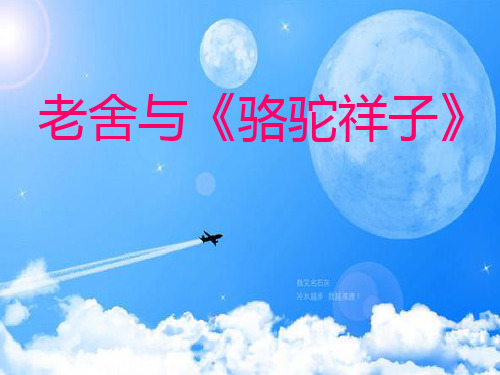 中国小说欣赏课件汇总ppt(35份打包) 人教课标版28