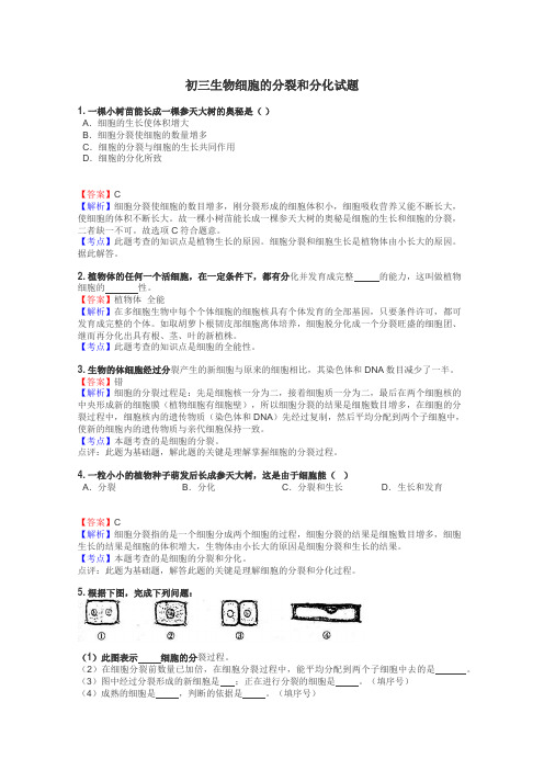 初三生物细胞的分裂和分化试题
