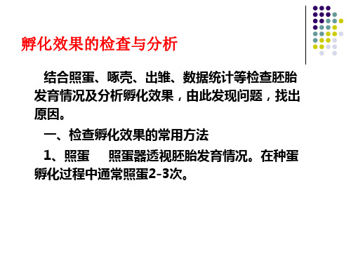 禽生产学4-2