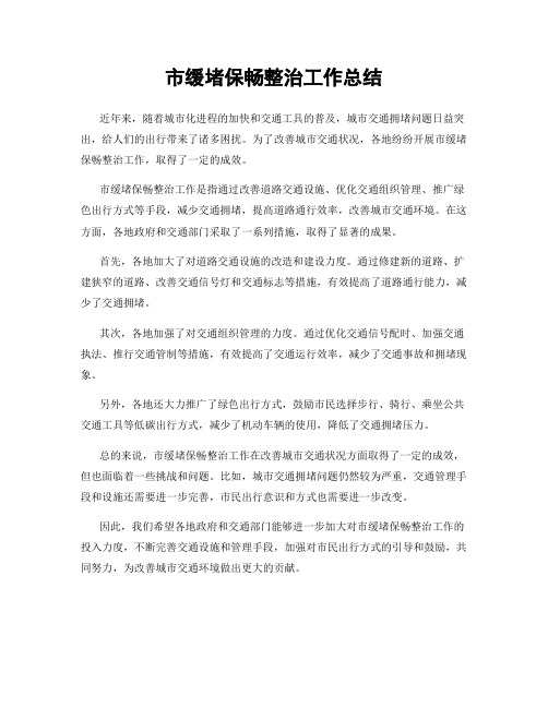 市缓堵保畅整治工作总结