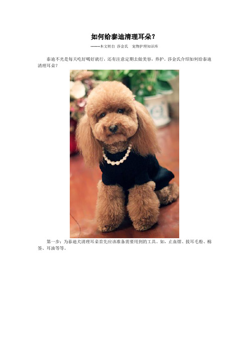 如何给泰迪清理耳朵？