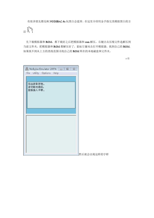 模拟器玩黑白