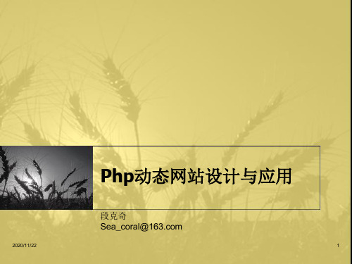 php培训讲义2 Php语法