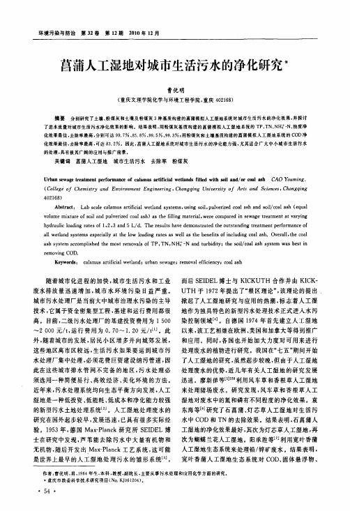 菖蒲人工湿地对城市生活污水的净化研究
