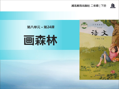 《画森林》PPT【优秀课件PPT】