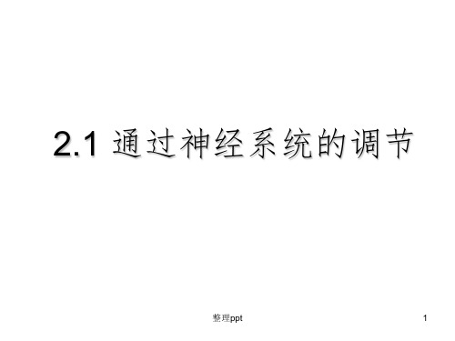 通过神经系统的调节高二生物