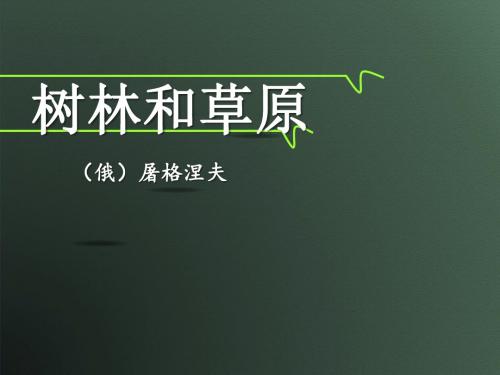 《树林和草原》PPT课件