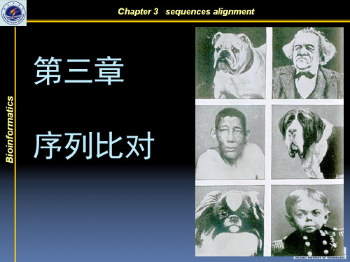 序列比对