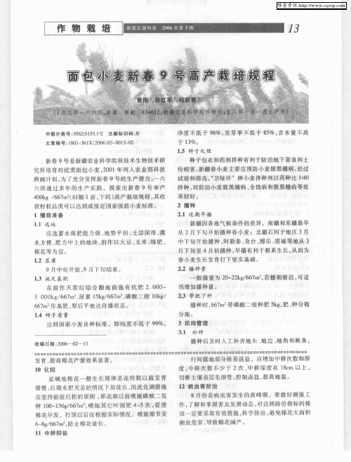面包小麦新春9号高产栽培规程