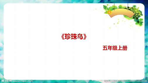 部编版五年级上册第四课《珍珠鸟》预习课件(配套)