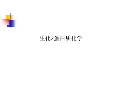 生化2蛋白质化学