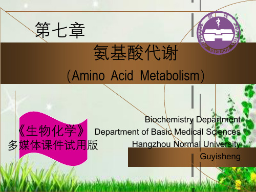 《生物化学》第七章氨基酸代谢