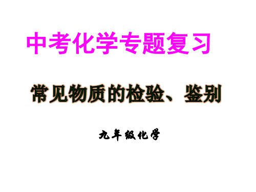 初中化学_中考专题复习常见物质的检验和鉴别教学课件设计